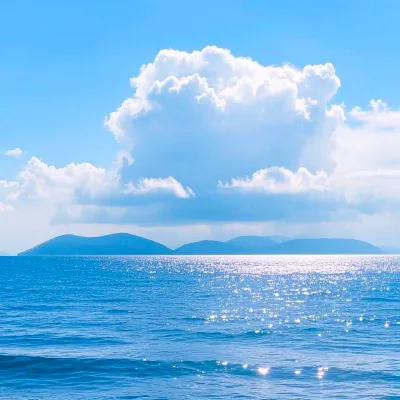 Taufik Hidayat avatar