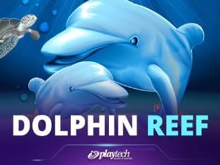 Dolphin Reef game thumbnail